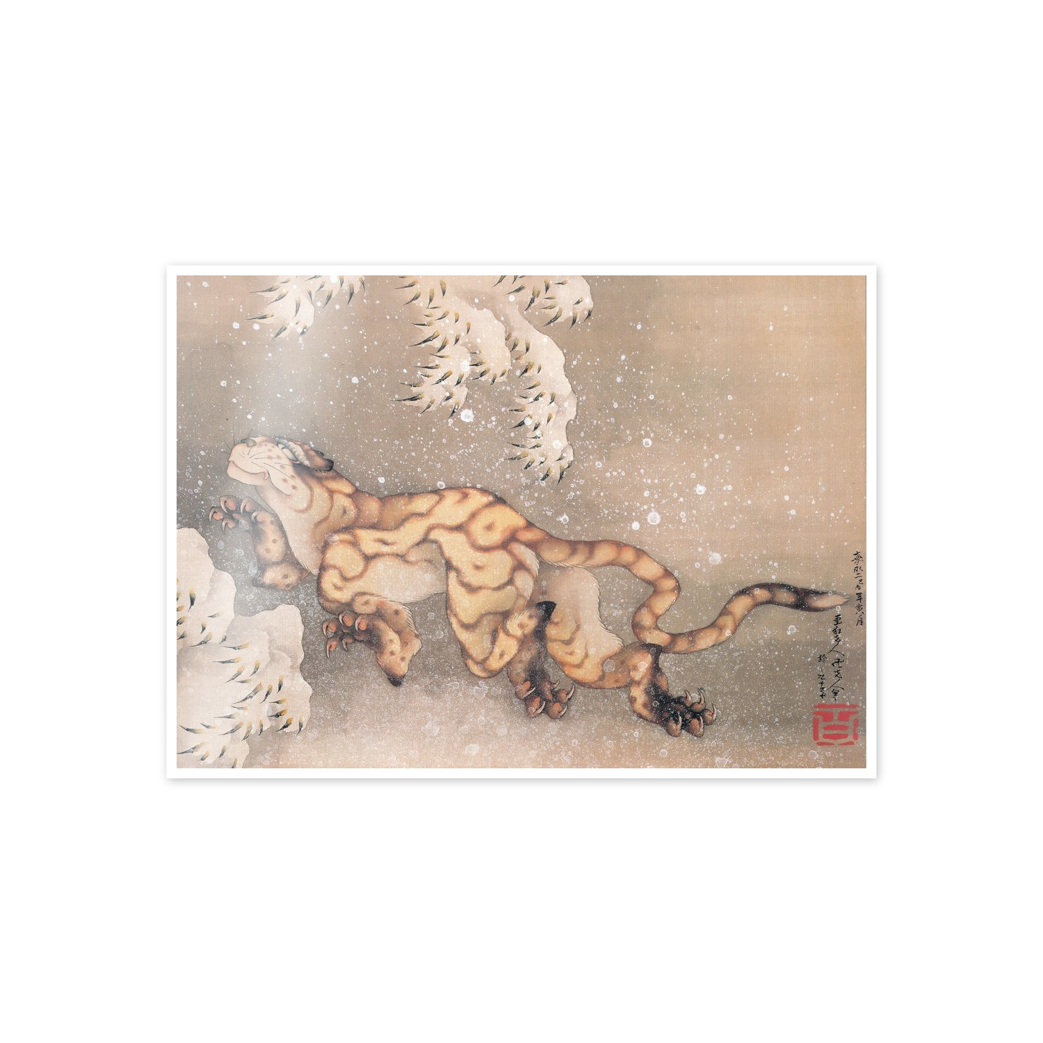 Homage to Hokusai - Older Tiger In The Snow cm 70x50
