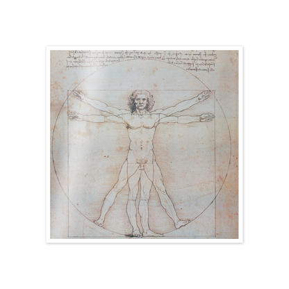 Homage to Leonardo - Vitruvian Man cm 50x50
