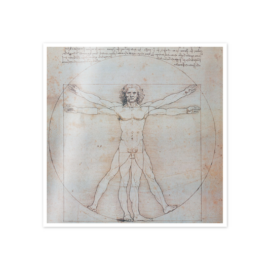Homage to Leonardo - Vitruvian Man cm 50x50