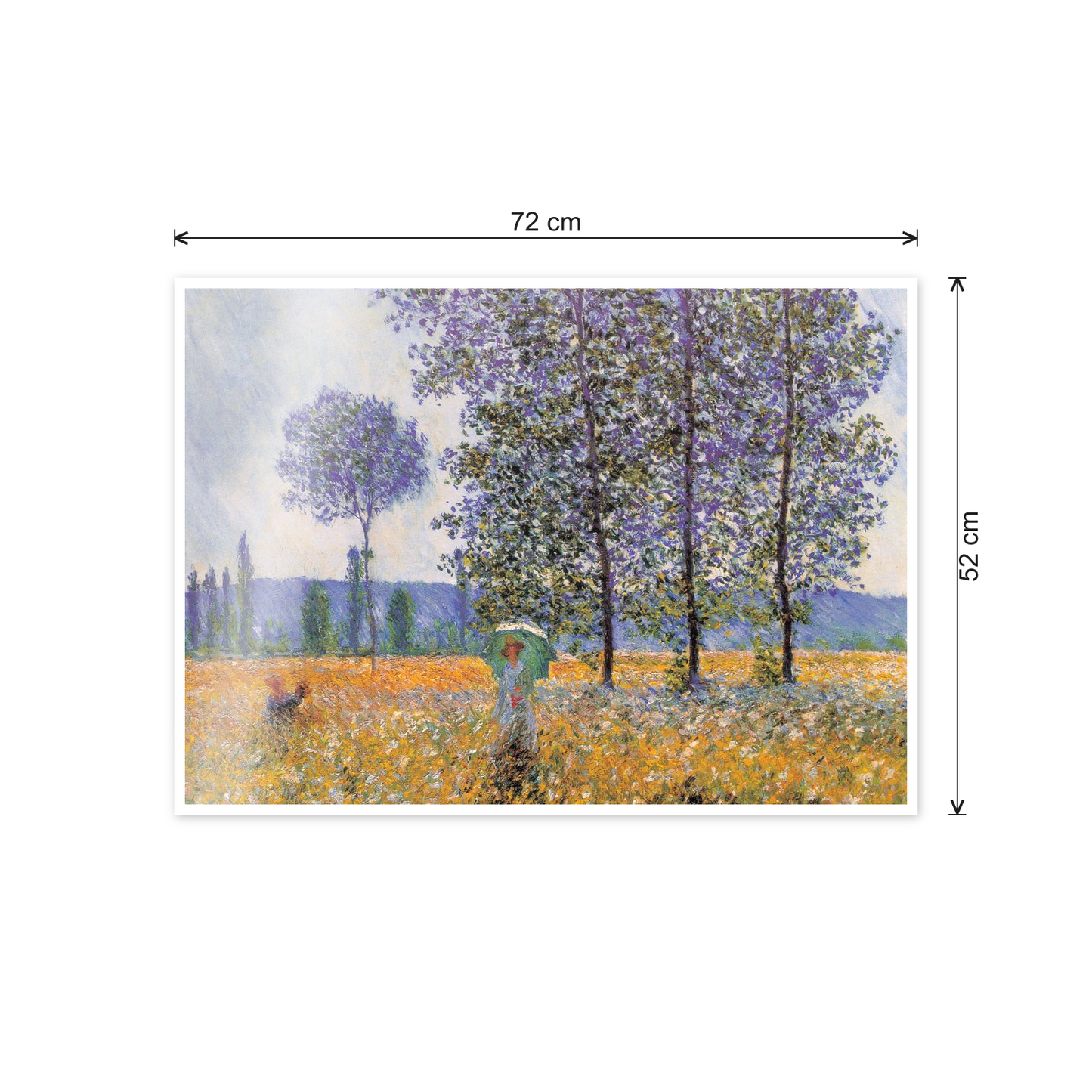Homage to Monet - Fields in Spring cm 70x50 - misure