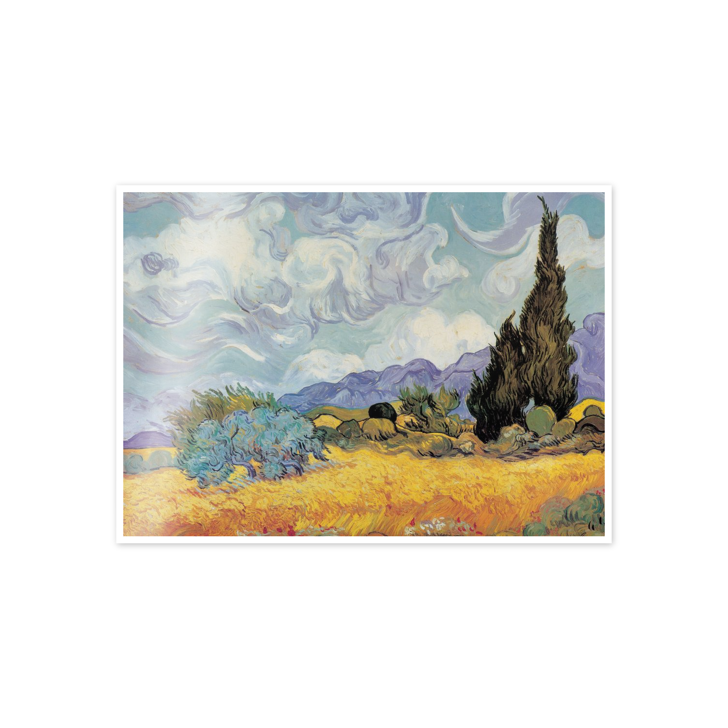 Homage to Van Gogh - Cypress Trees cm 70x50