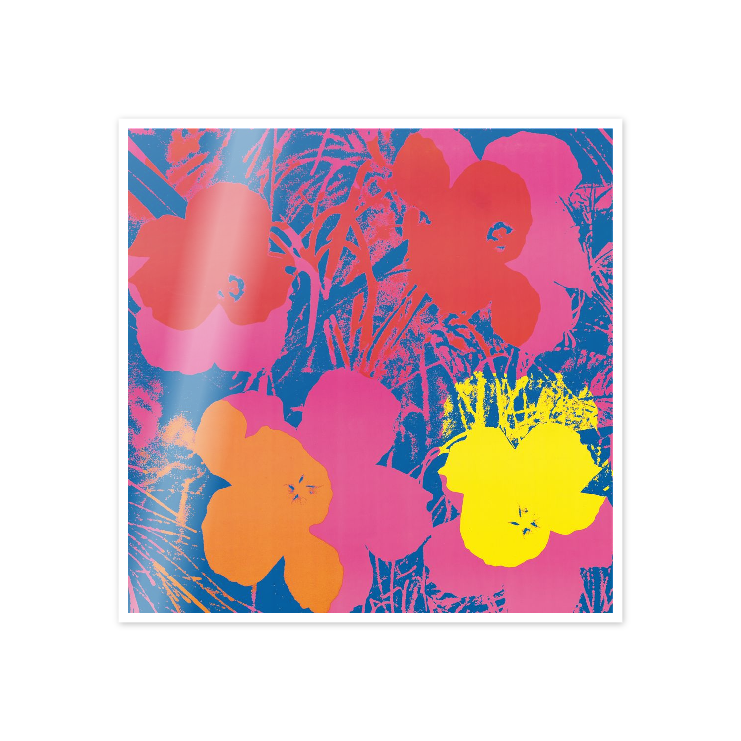 Homage to Warhol - Flowers, 1970 cm 50x50