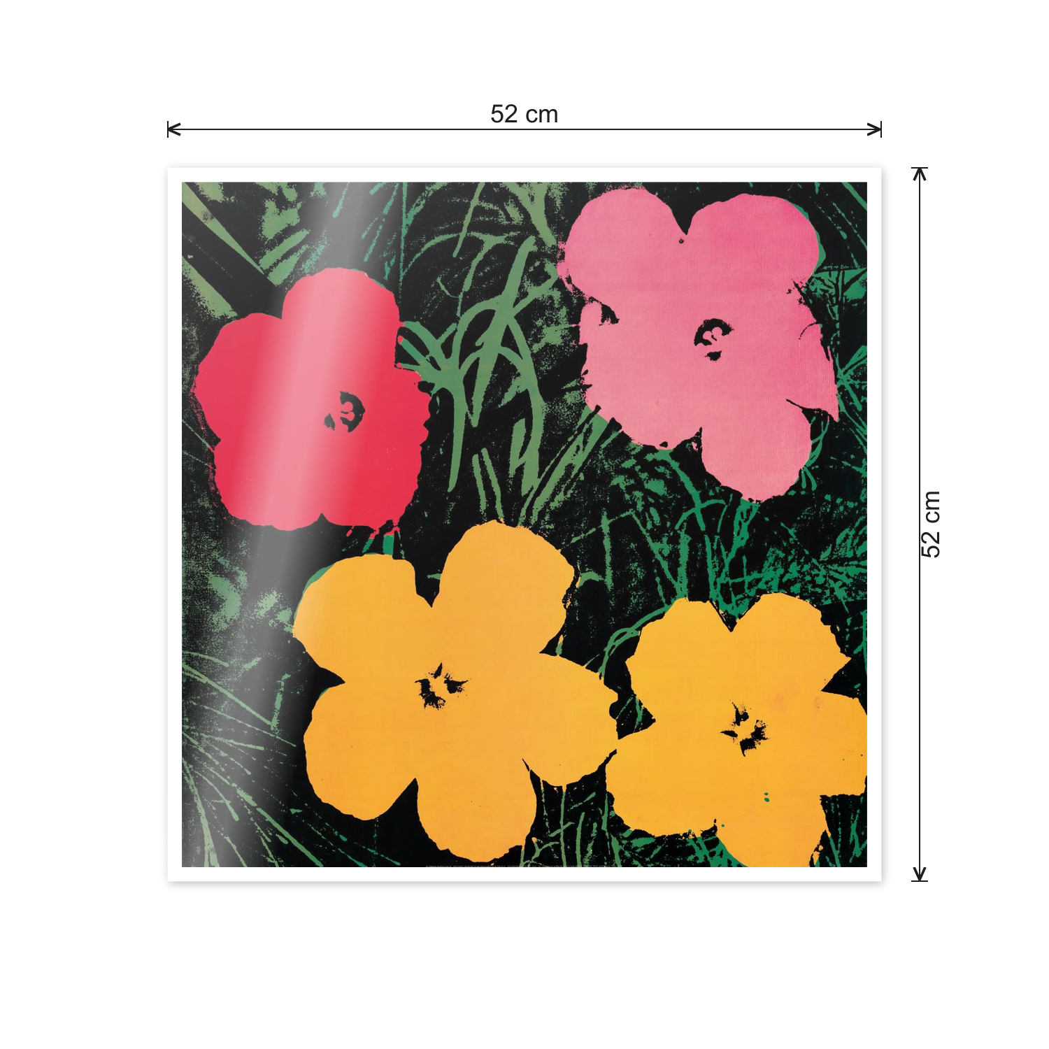 Homage to Warhol - Flowers, 1964 cm 50x50 - misure