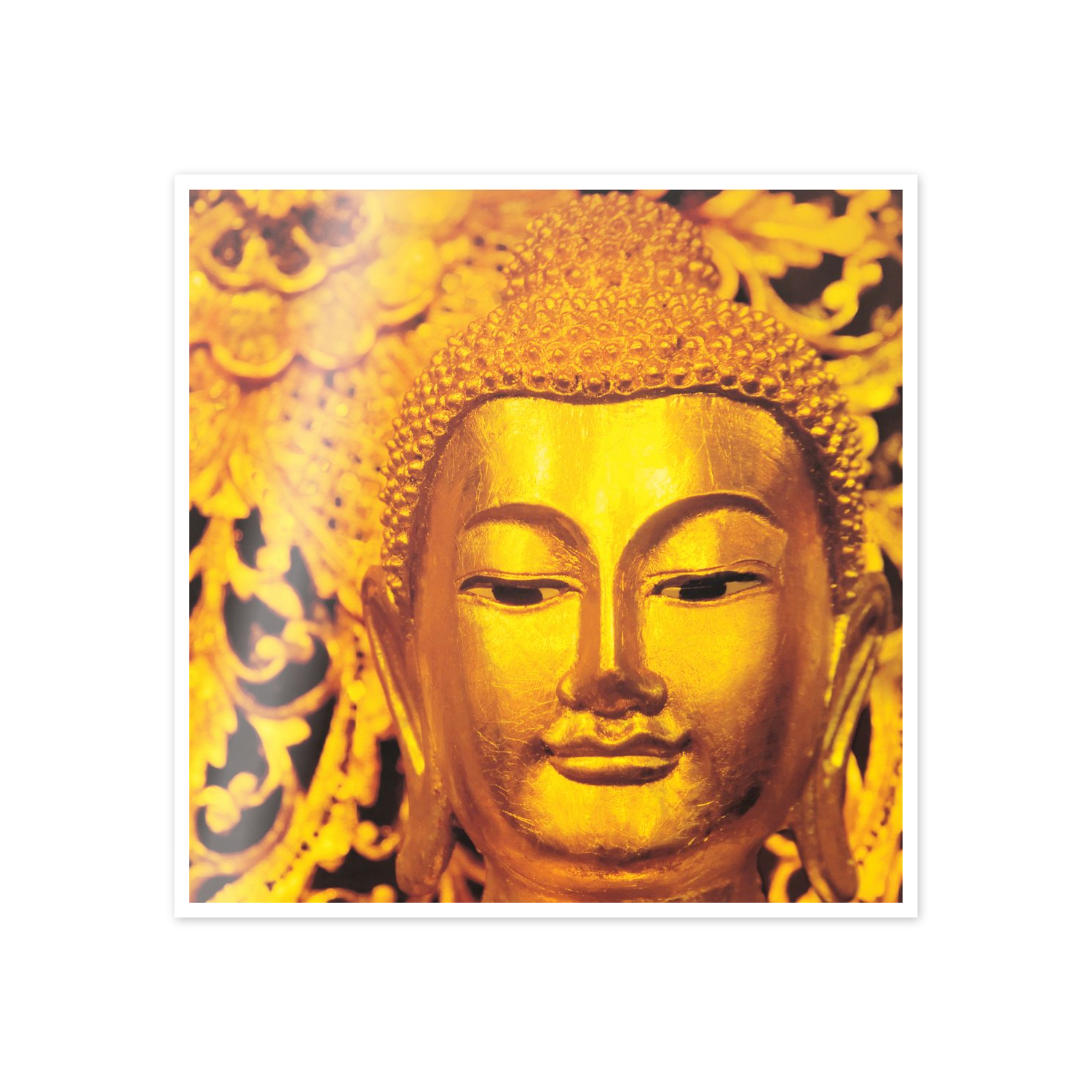 Buddha cm 50x50