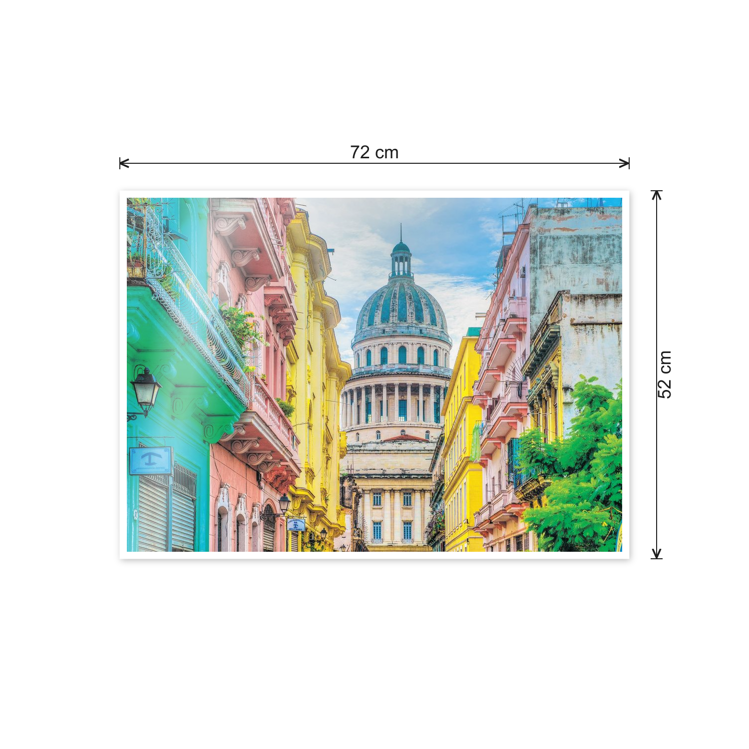 Hauser in calle barcellona Havanna cm 70x50 - misure