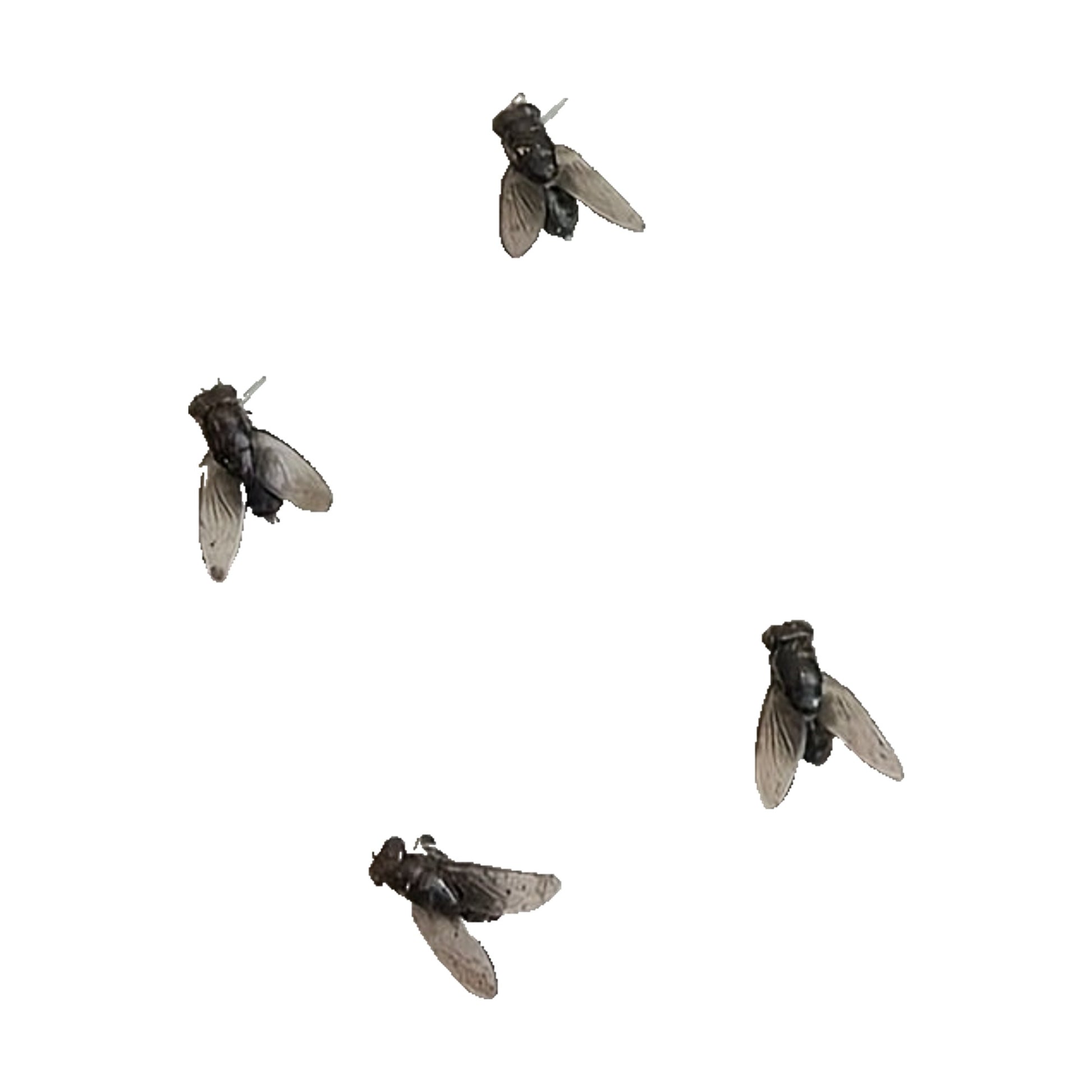 Orecchini mosca