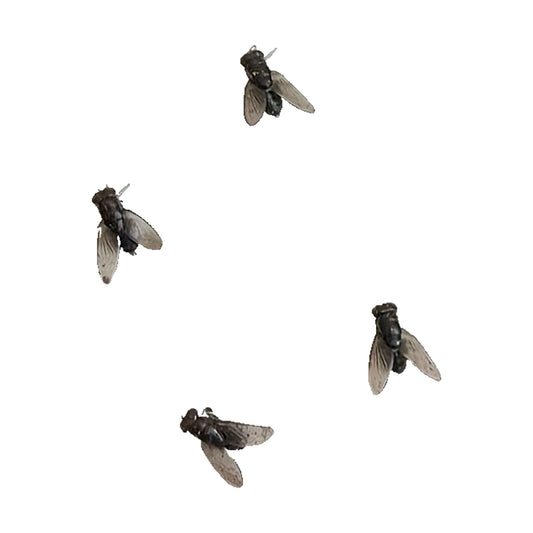 Orecchini mosca