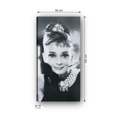 ATCAN1003 misure