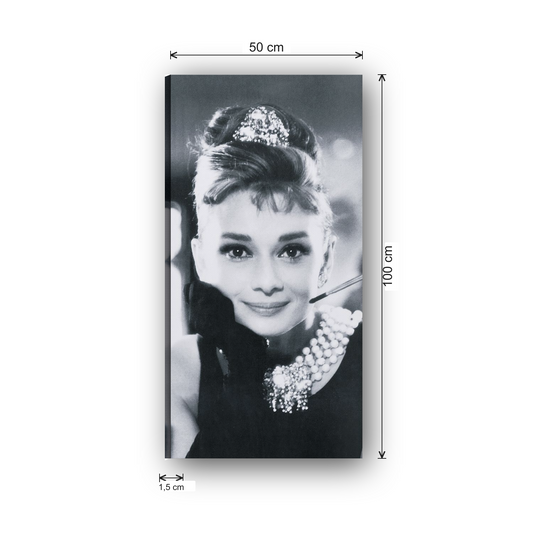 ATCAN1003 misure