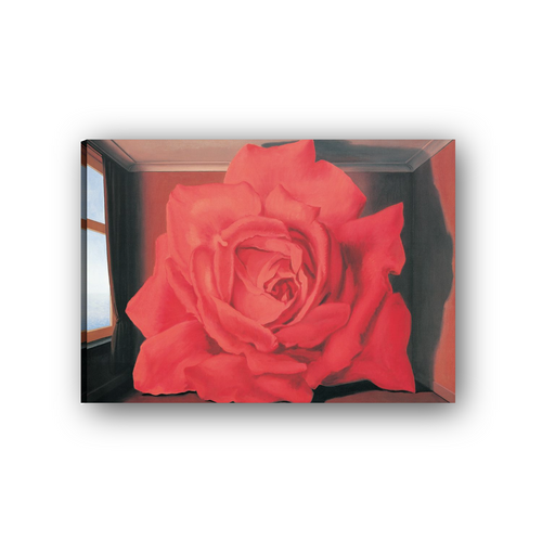 Tela Canvas