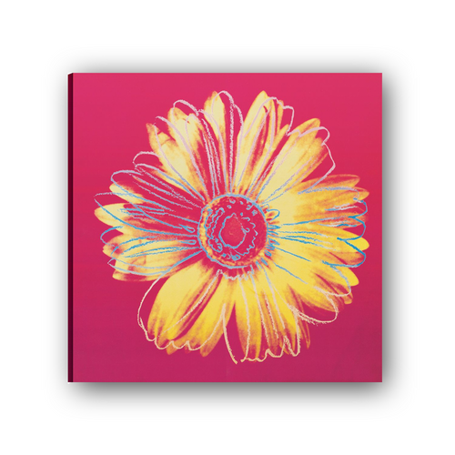 Tela Canvas