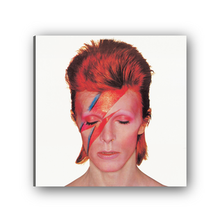 David Bowie - cm 50x50 - Tela Canvas