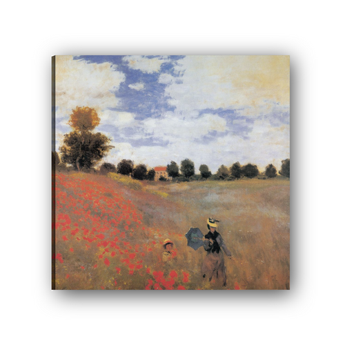 Tela Canvas