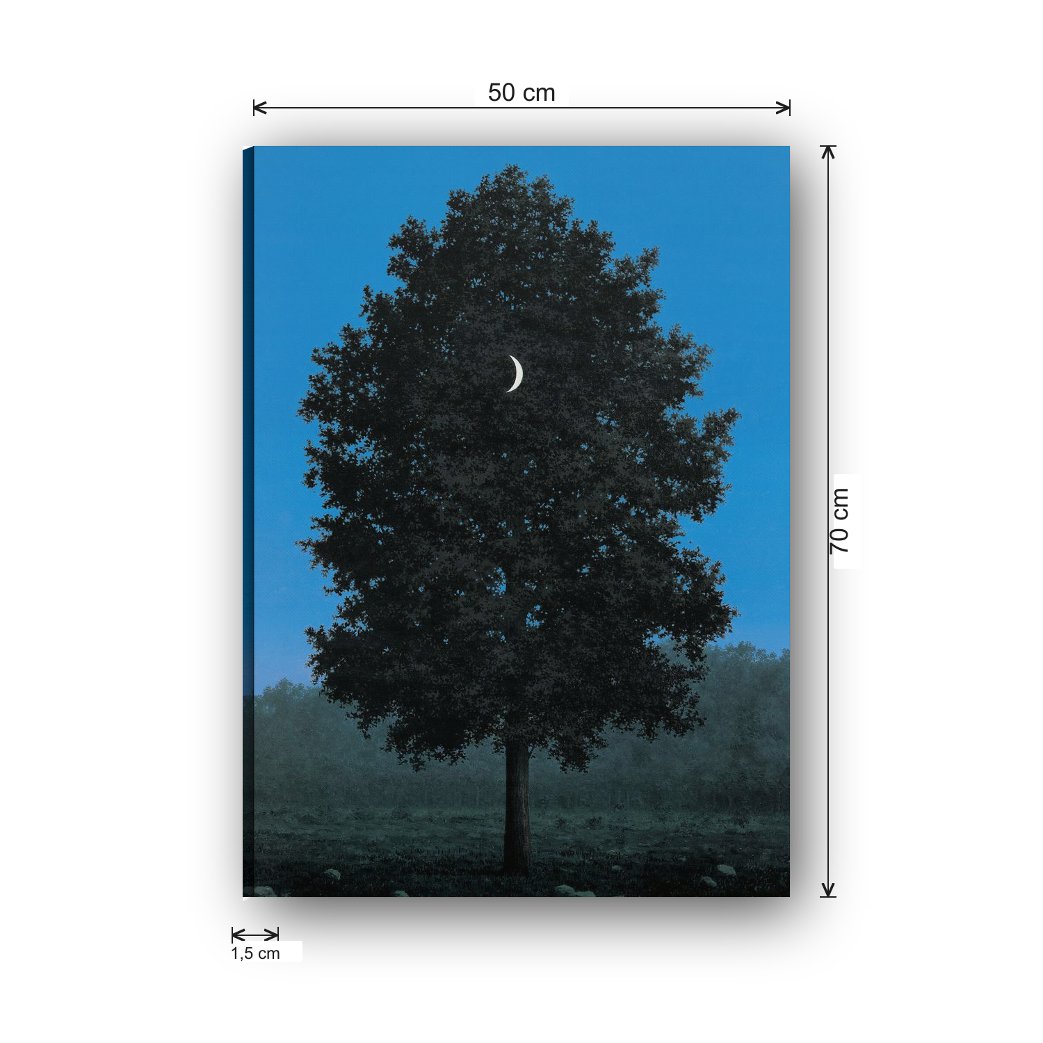 ATCAN1249 misure