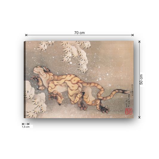 ATCAN1362 misure