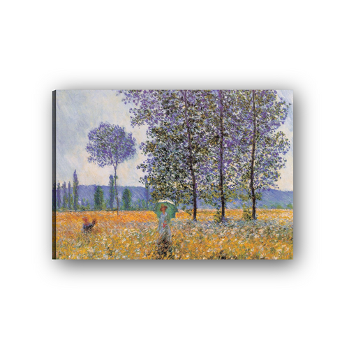 Tela Canvas