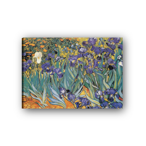 Tela Canvas
