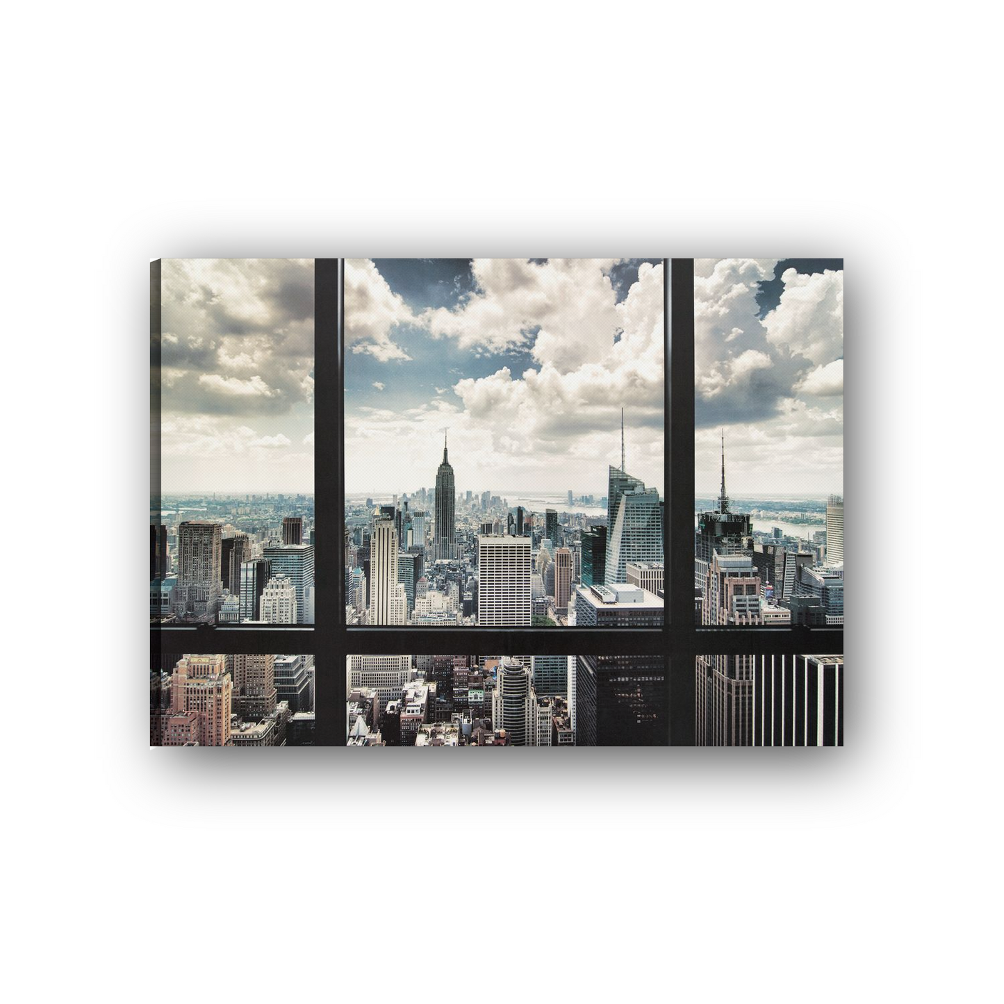 ATCAN1442 main