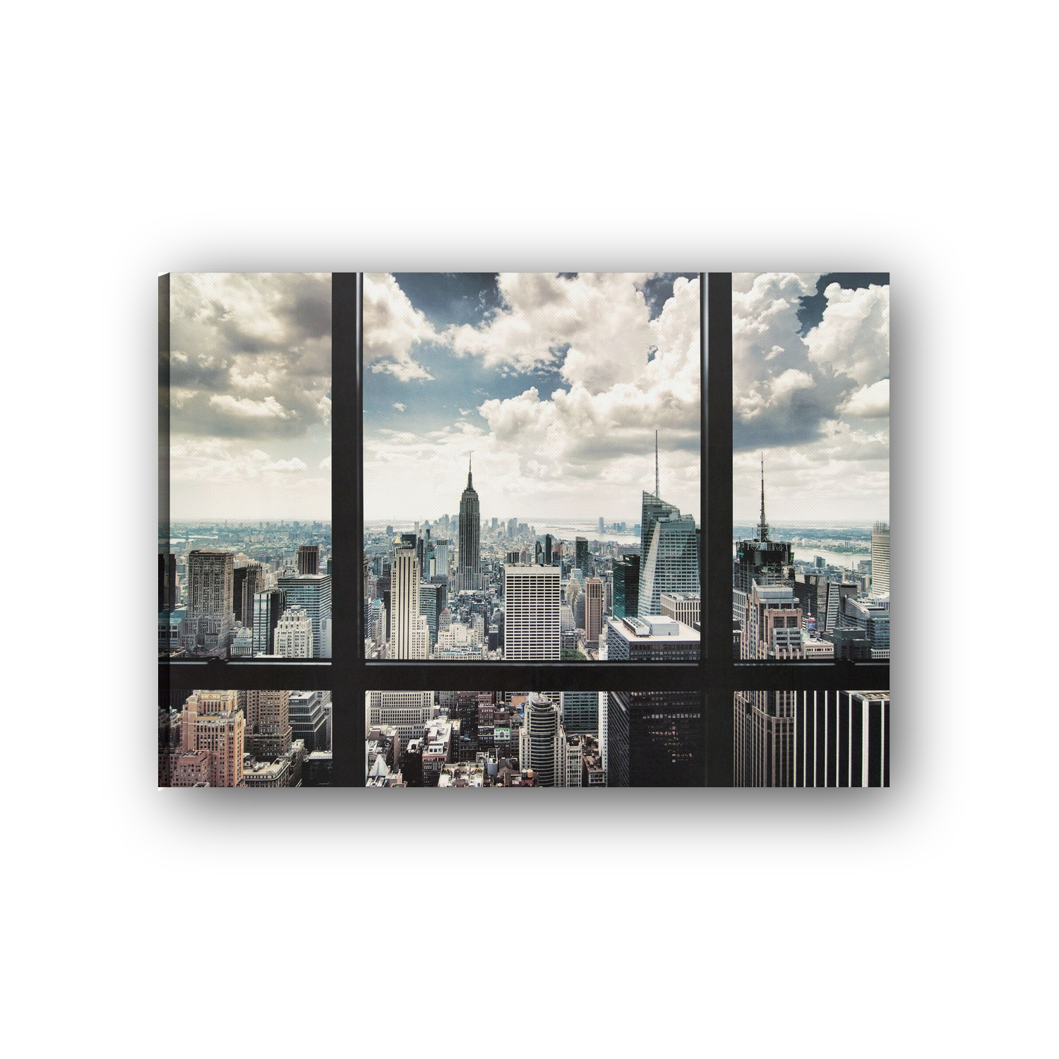 ATCAN1442 main