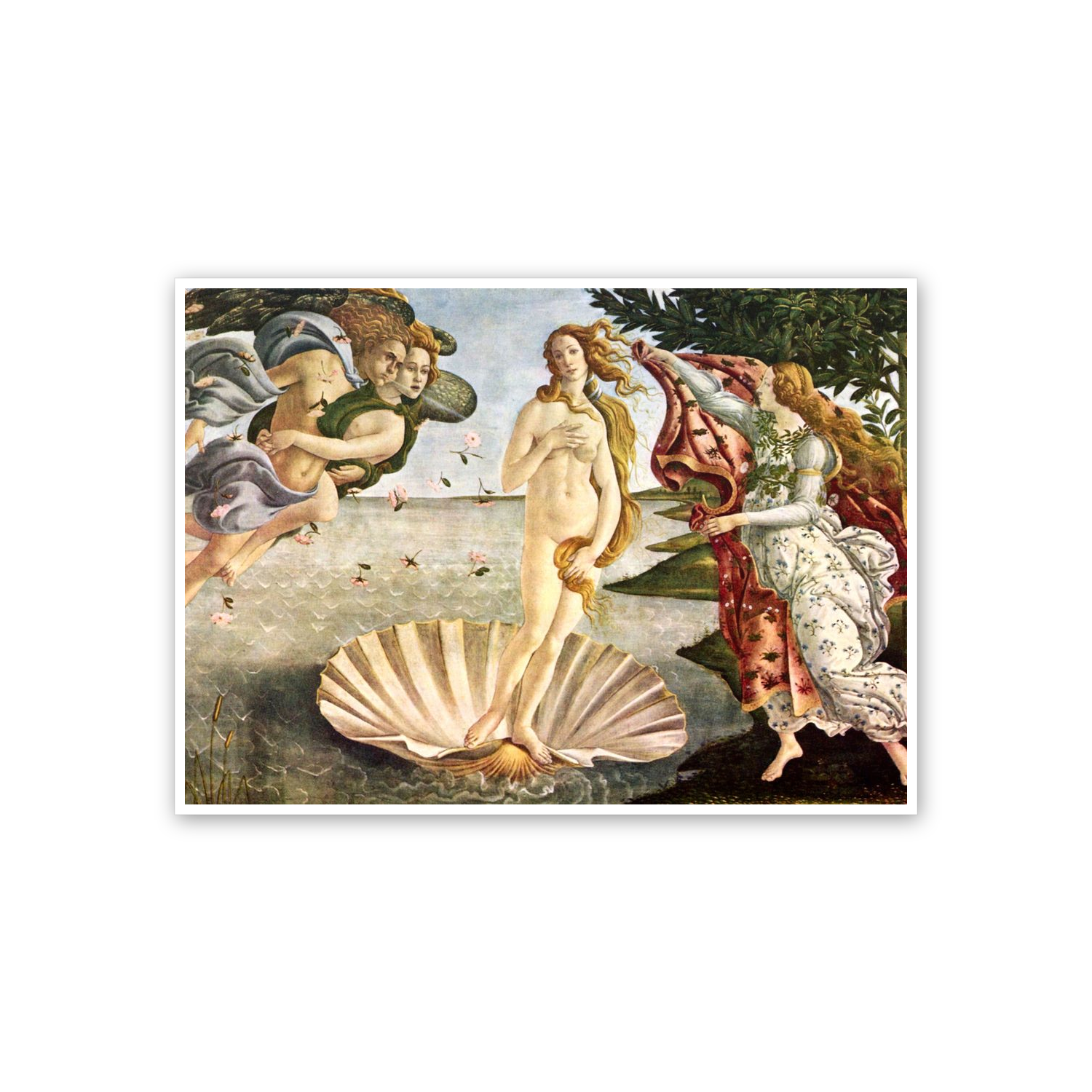 Homage to Botticelli - Birth of Venus cm 70x50