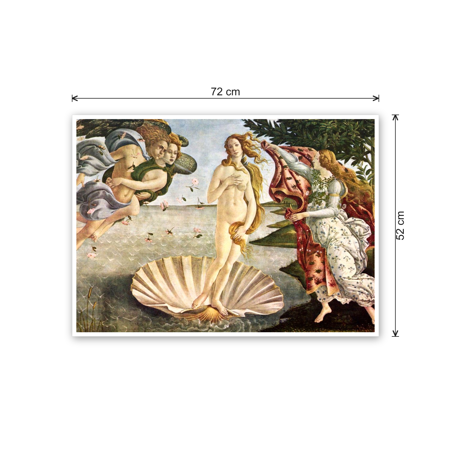 Homage to Botticelli - Birth of Venus cm 70x50 - misure