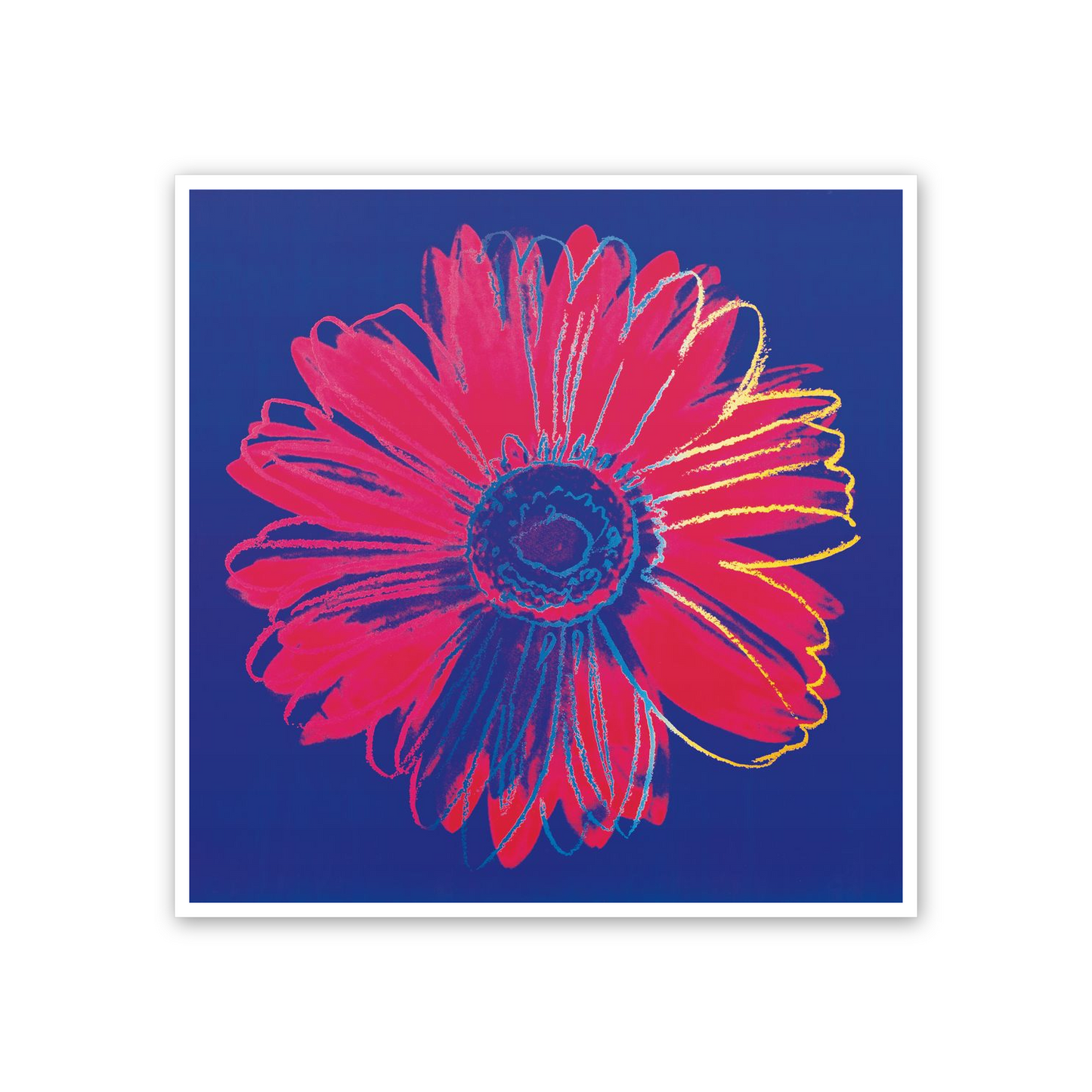 Homage to Warhol - Daisy, C.1982 cm 50x50