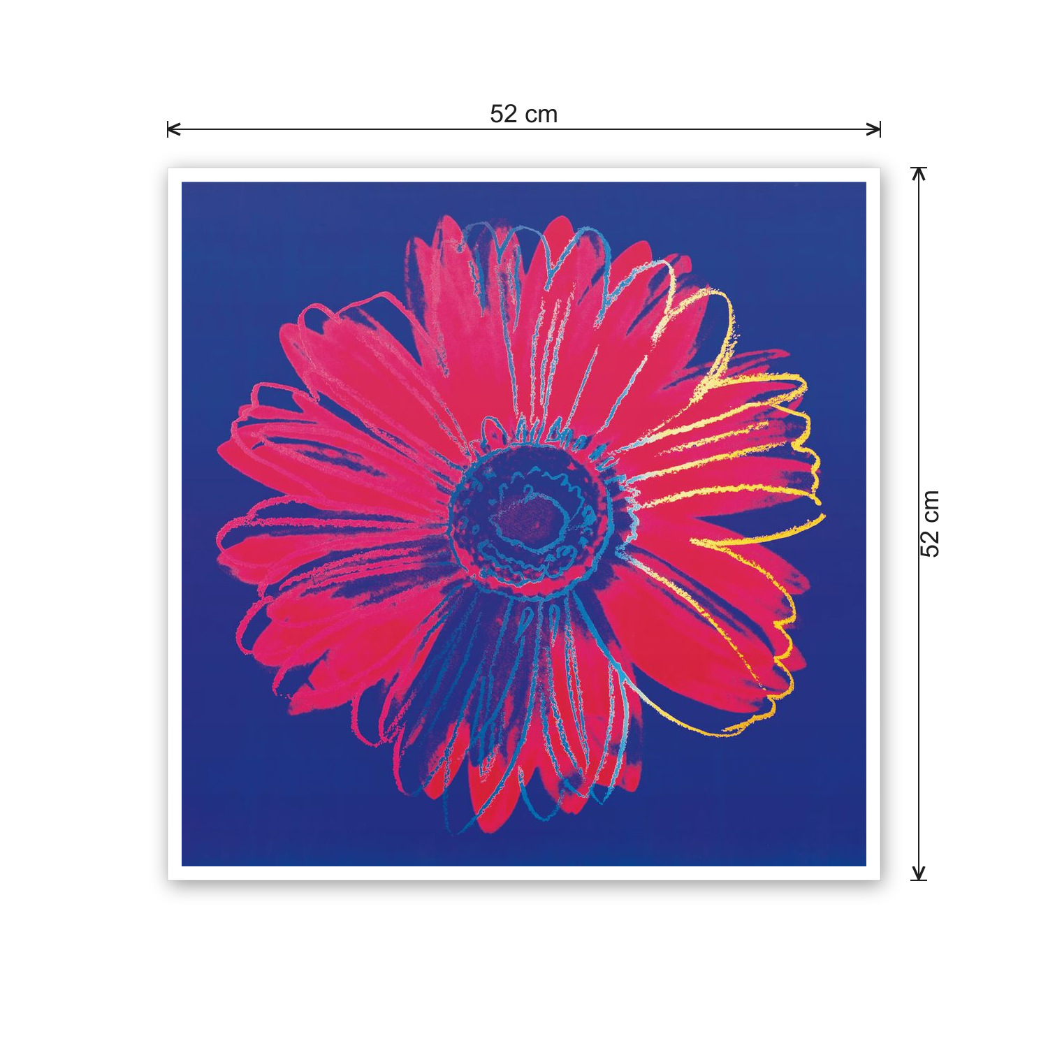 Homage to Warhol - Daisy, C.1982 cm 50x50 - misure