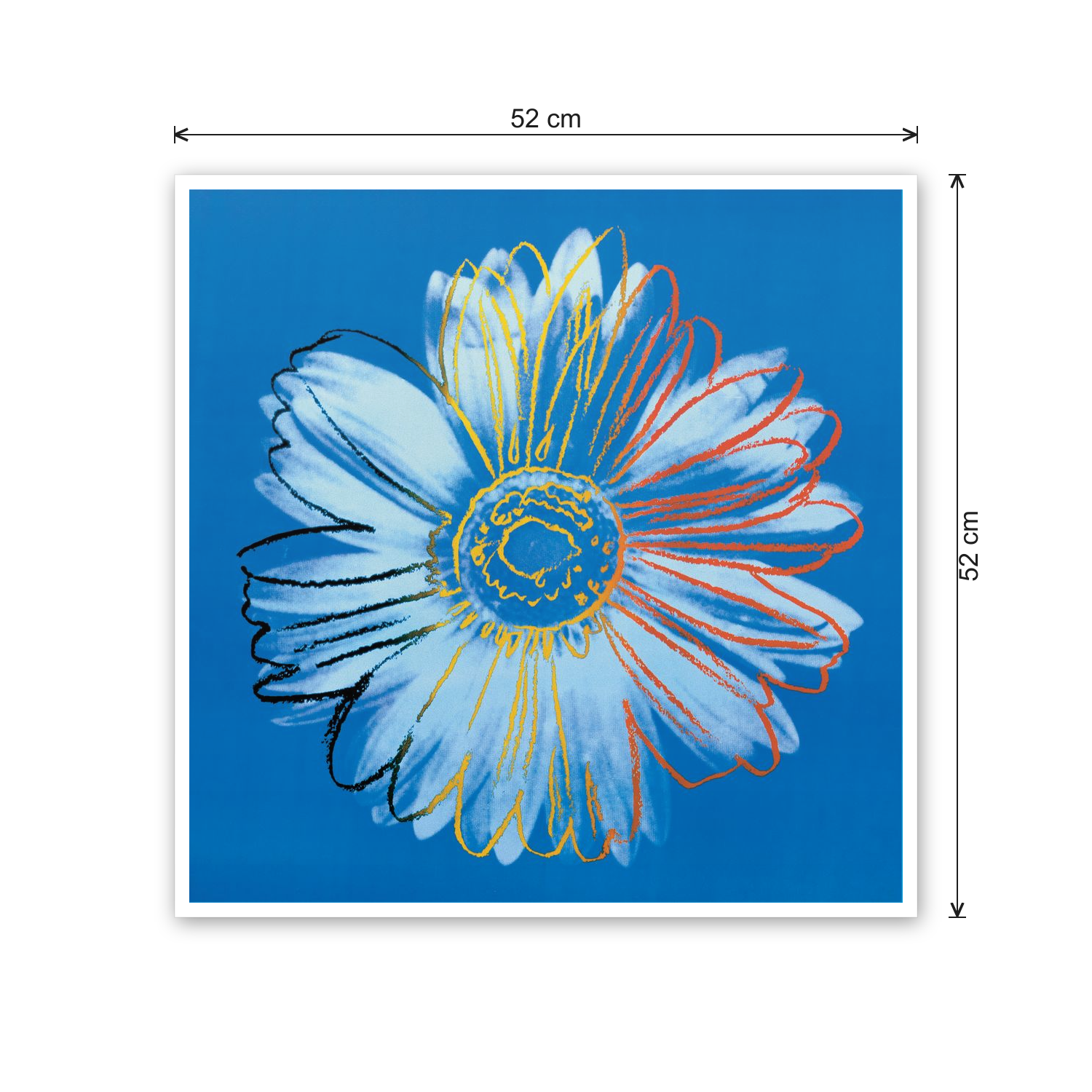 Homage to Warhol - Daisy, C.1982 cm 50x50 - misure