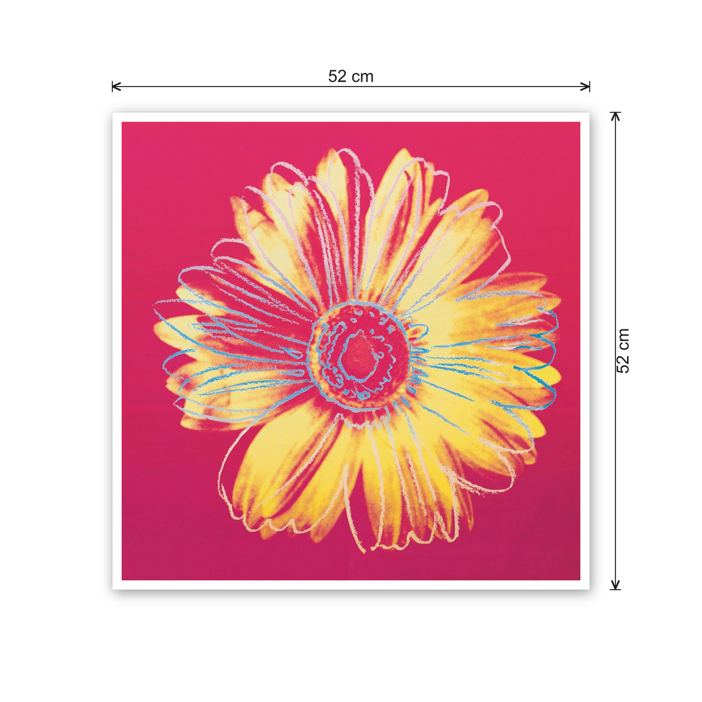 Homage to Warhol - Daisy, C.1982 cm 50x50 - misure
