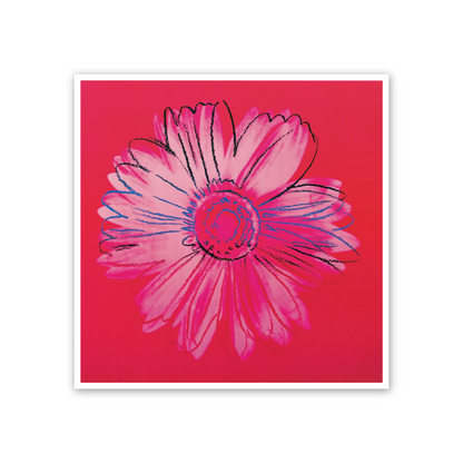 Homage to Warhol - Daisy, C.1982 cm 50x50