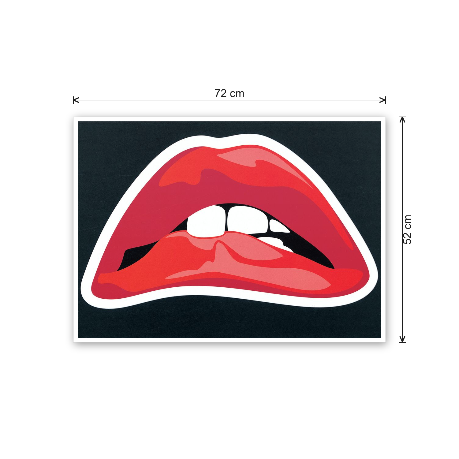 Homage to Rocky horror cm 70x50 - misure