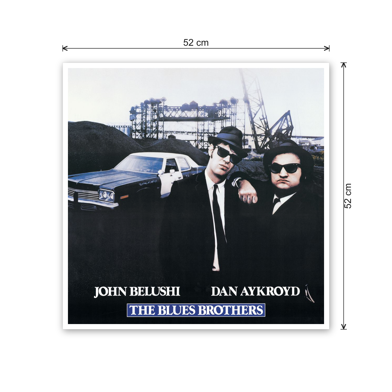The Blues Brothers cm 50x50 - misure