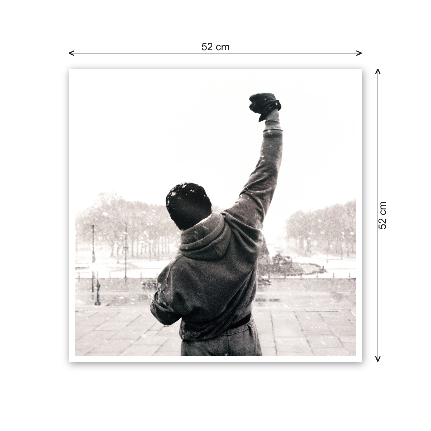 Homage to Rocky Balboa cm 50x50 - misure