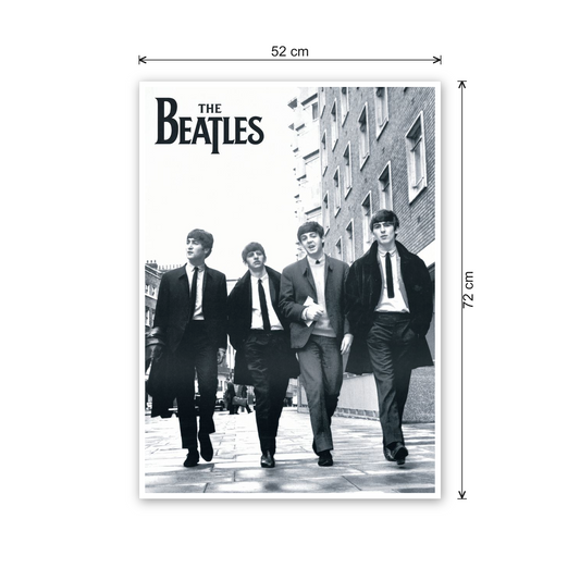 The Beatles cm 50x70 - misure