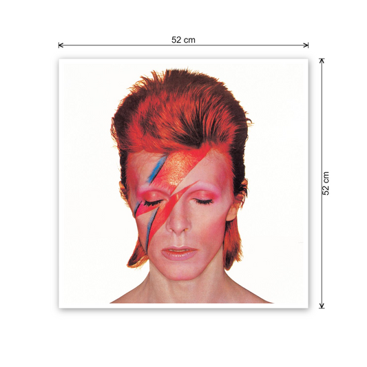 David Bowie cm 50x50 - misure