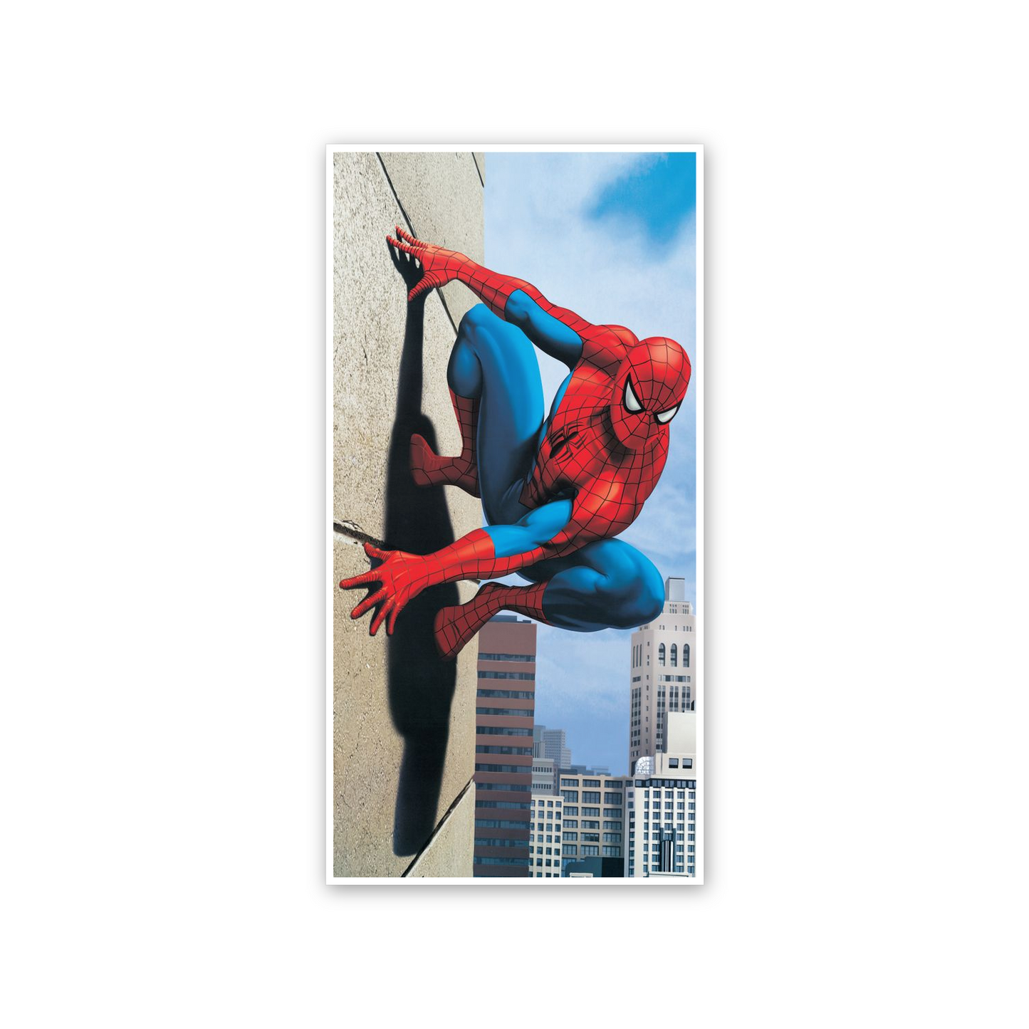 Homage to Spiderman cm 50x100