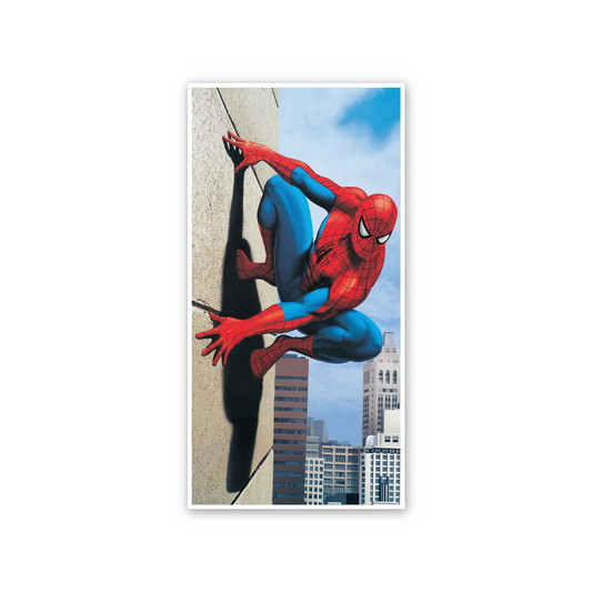 Homage to Spiderman cm 50x100
