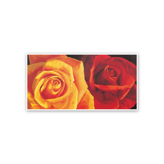 Roses - cm 102x52 - Poster