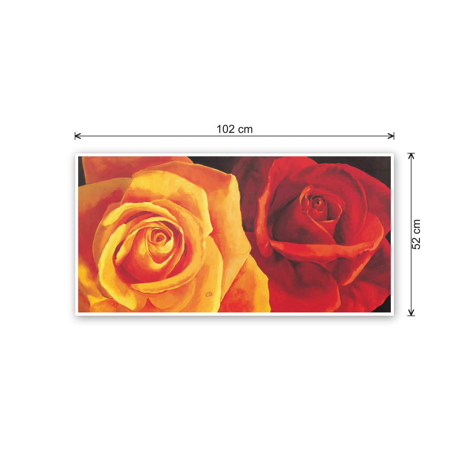 Roses cm 100x50 - misure