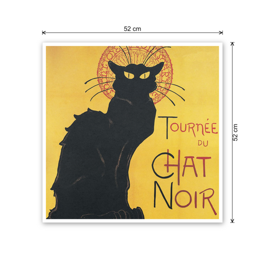 Chat noir cm 50x50 - misure