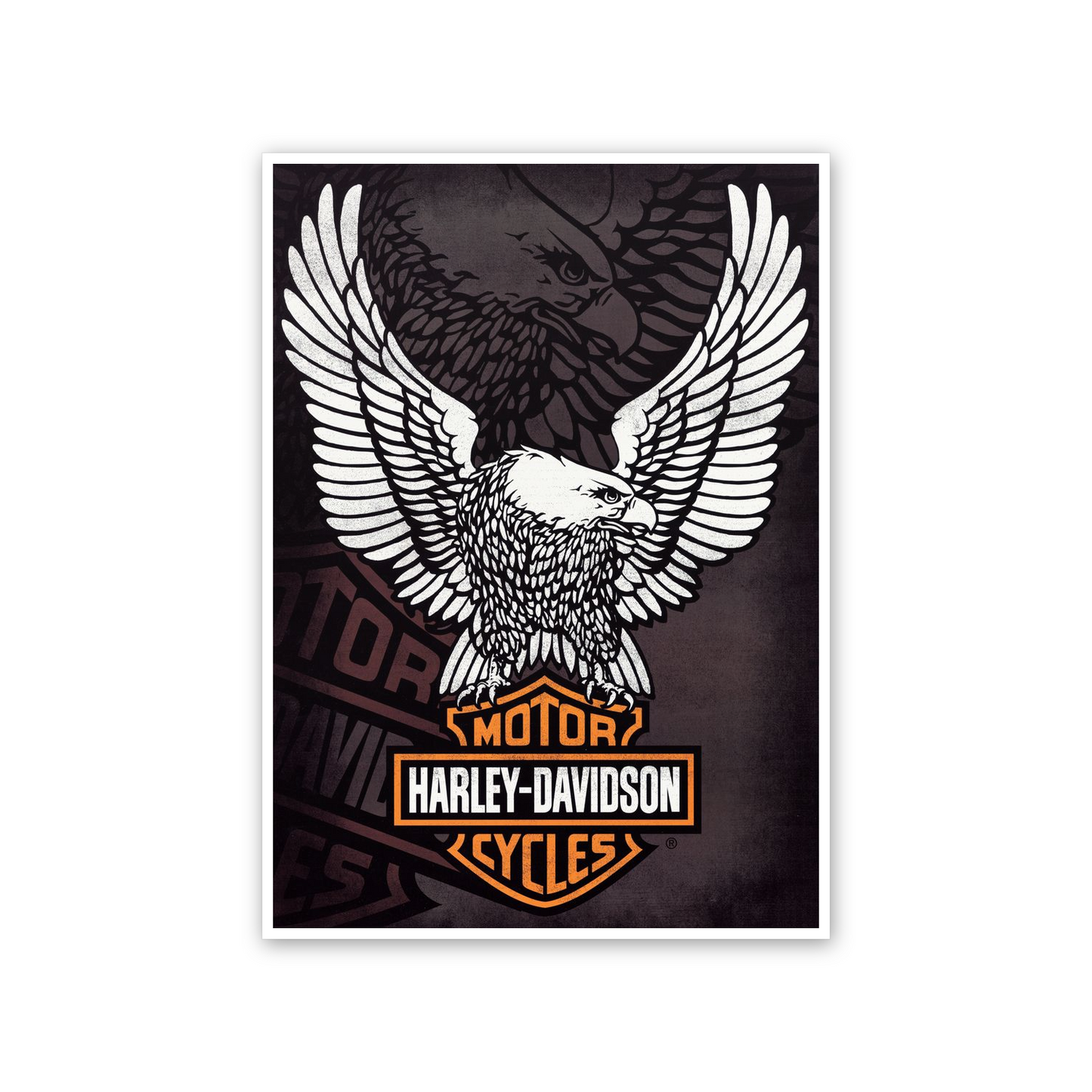 Homage to Harley Davidson cm 50x70