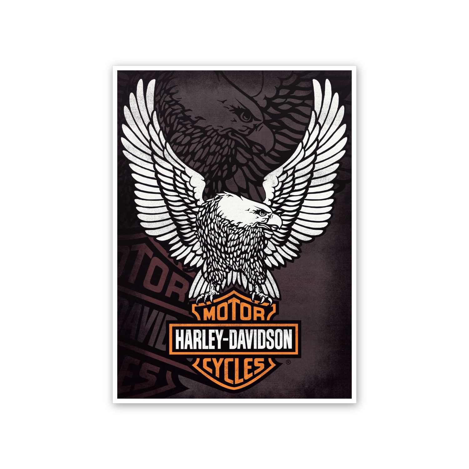 Homage to Harley Davidson cm 50x70