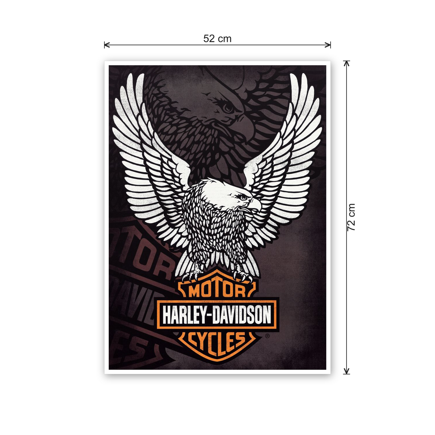 Homage to Harley Davidson cm 50x70 - misure