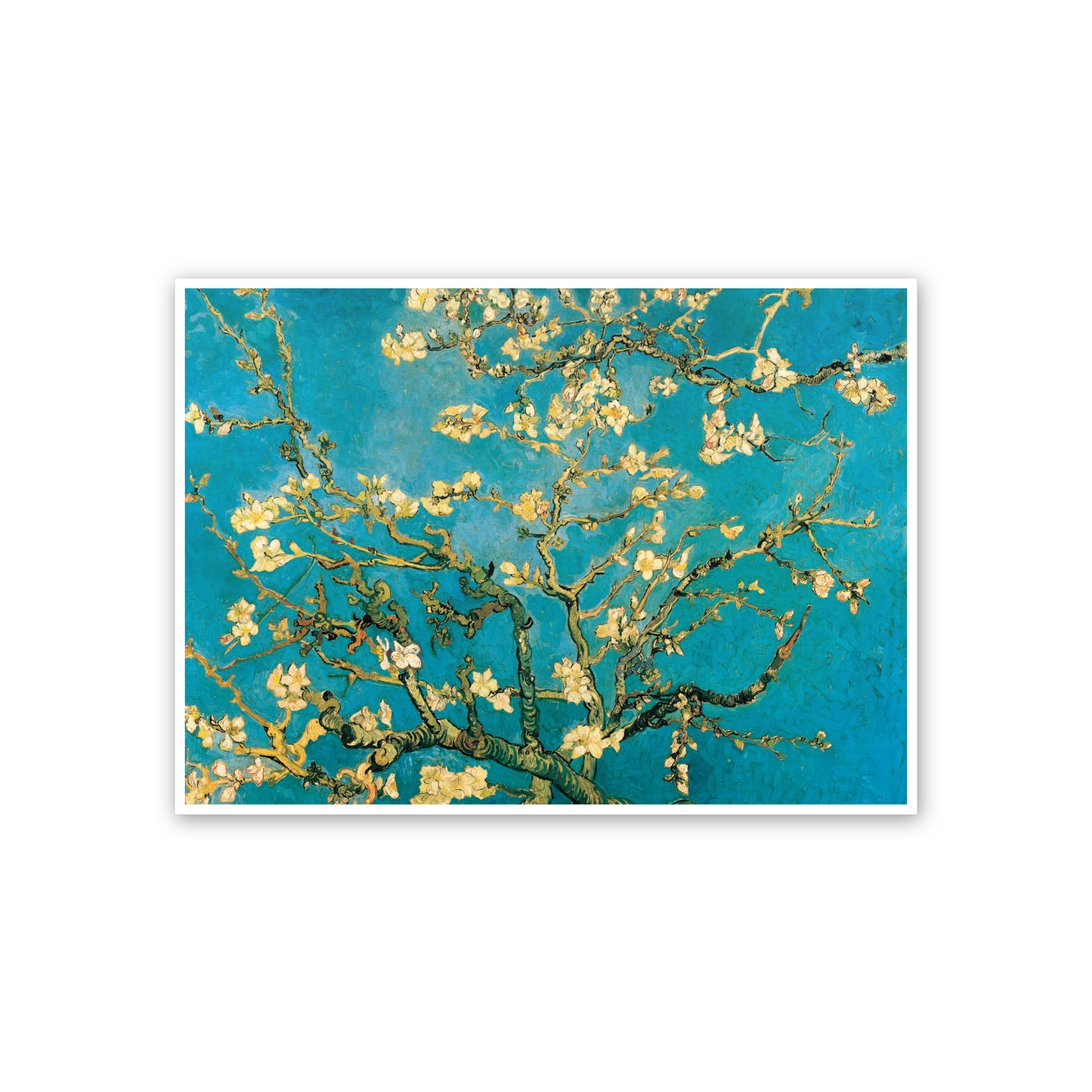 Homage to Van Gogh - Mandorli In Fiore A San Remy cm 70x50