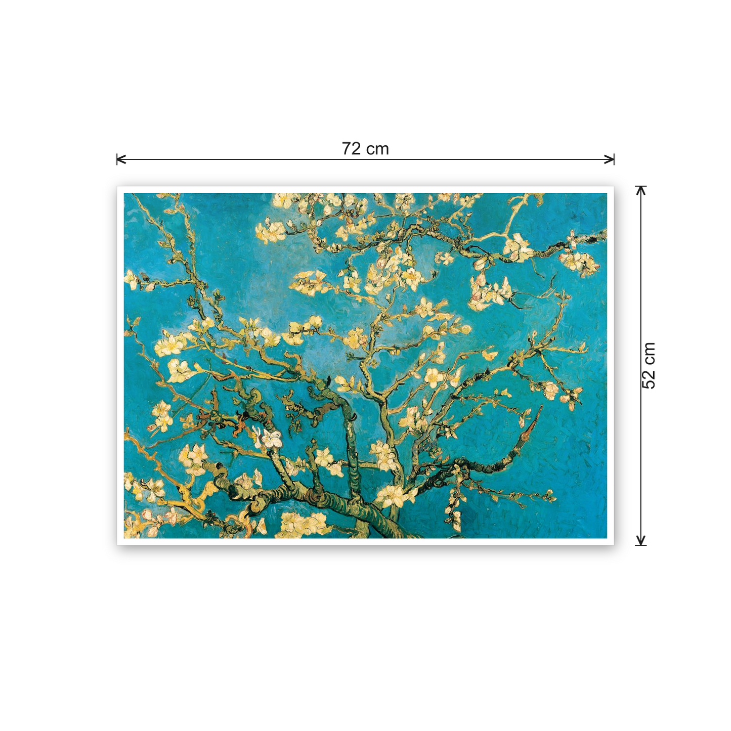 Homage to Van Gogh - Mandorli In Fiore A San Remy cm 70x50 - misure