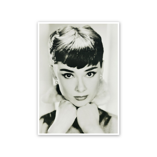 Homage to Audrey cm 50x70