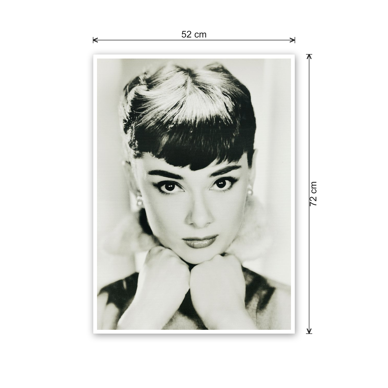 Homage to Audrey cm 50x70 - misure
