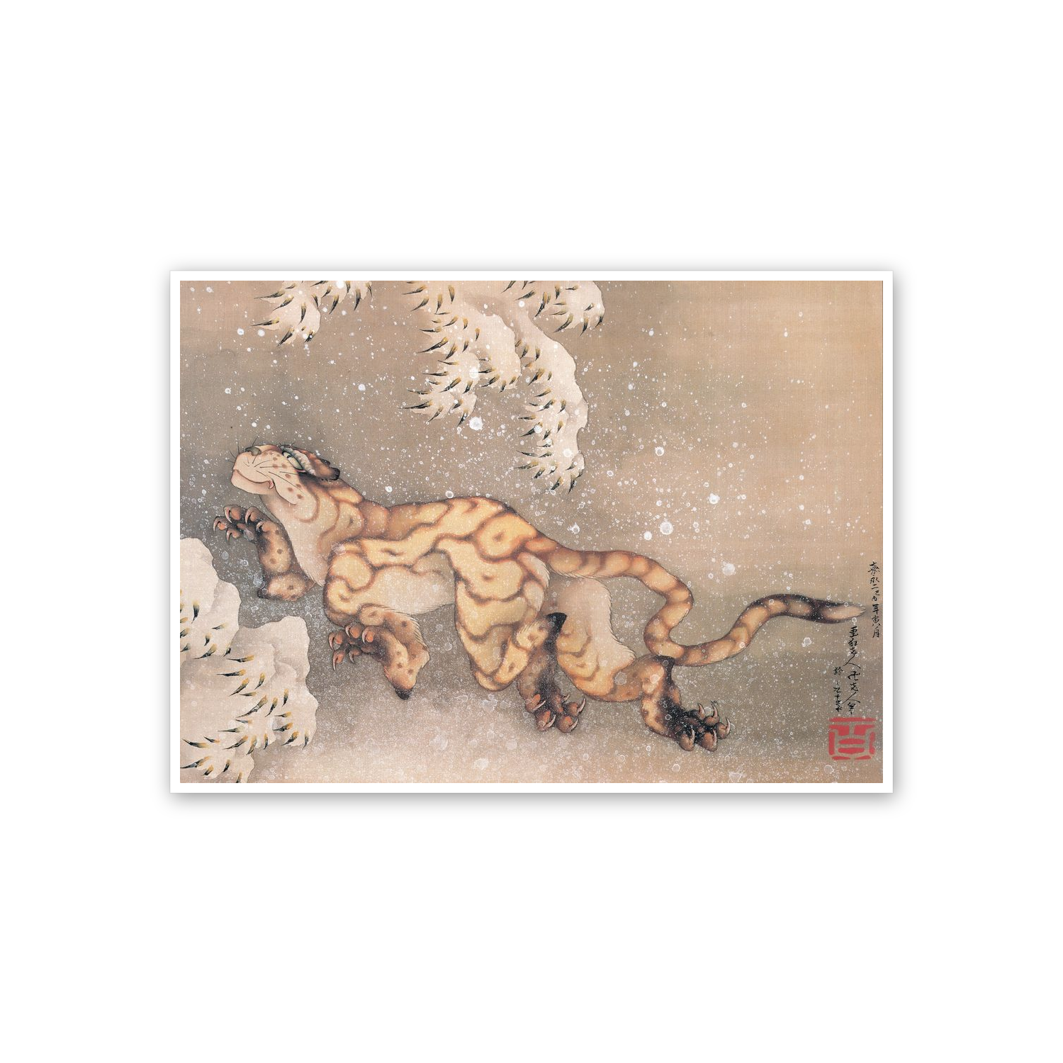 Homage to Hokusai - Older Tiger In The Snow cm 70x50