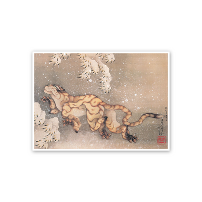 Homage to Hokusai - Older Tiger In The Snow cm 70x50