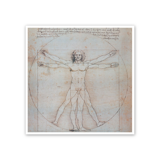 Homage to Leonardo - Vitruvian Man cm 50x50